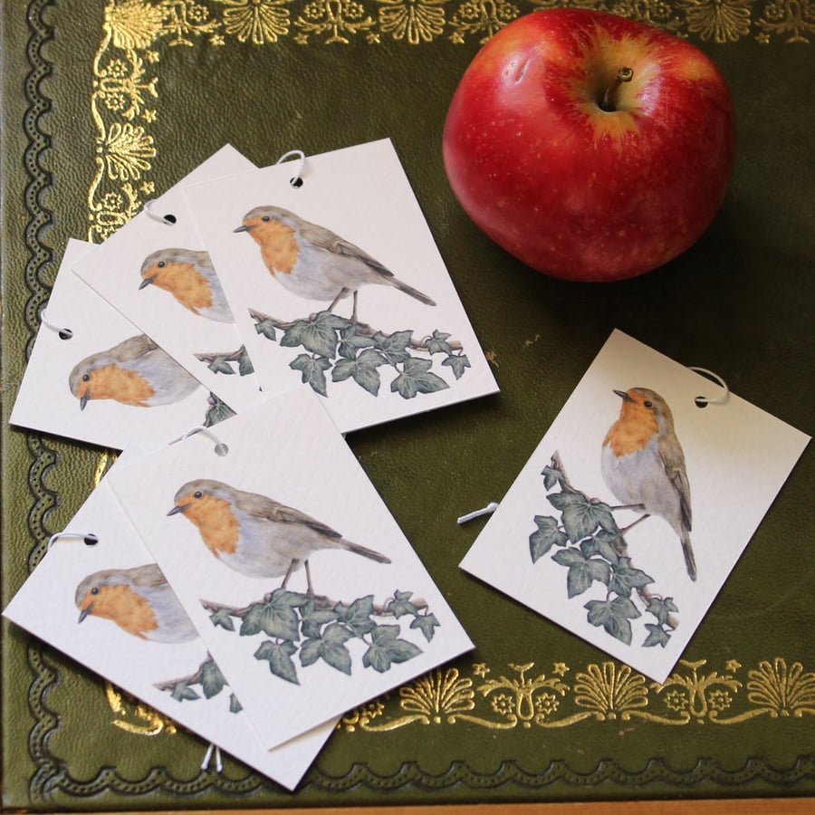 Image of Robin Gift Tags - Set of 12 Hang Tags for Gifts and Presents