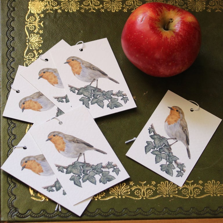 Robin Gift Tags - Set of 12 Hang Tags for Gifts and Presents