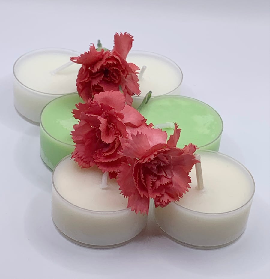 6 Citrus Essential Oil Tealight Collection 