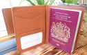 Passport Cases