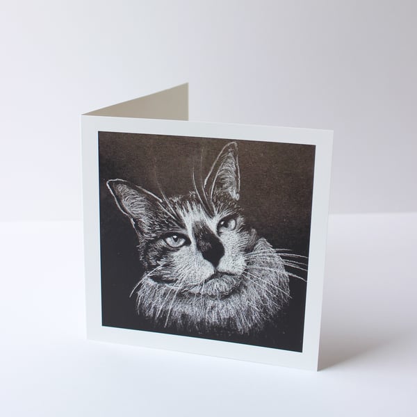 Cat Drawing Greetings Card 