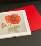 Poppy - Image 4