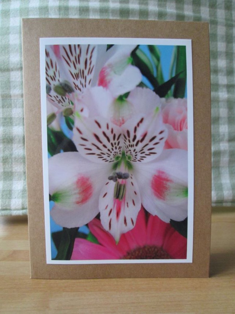 Floral Photographic Greetings Card, Peruvian Lily, Alstroemeria