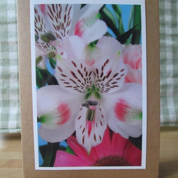 Floral Photographic Greetings Card, Peruvian Lily, Alstroemeria