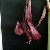 MadDog Magick for something a bit less mundane and a little bit mystical