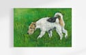 Oil Paintings