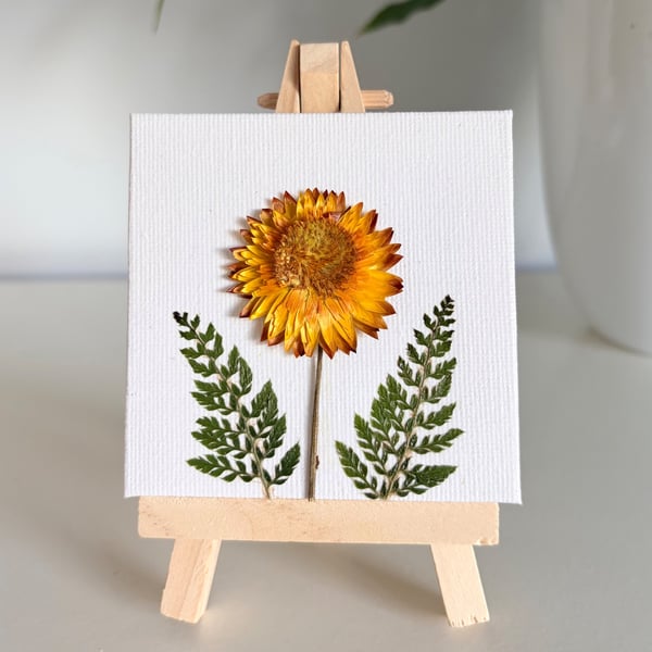 Real Dried Strawflower Mini Canvas on Wooden Easel, Miniature Botanical Art
