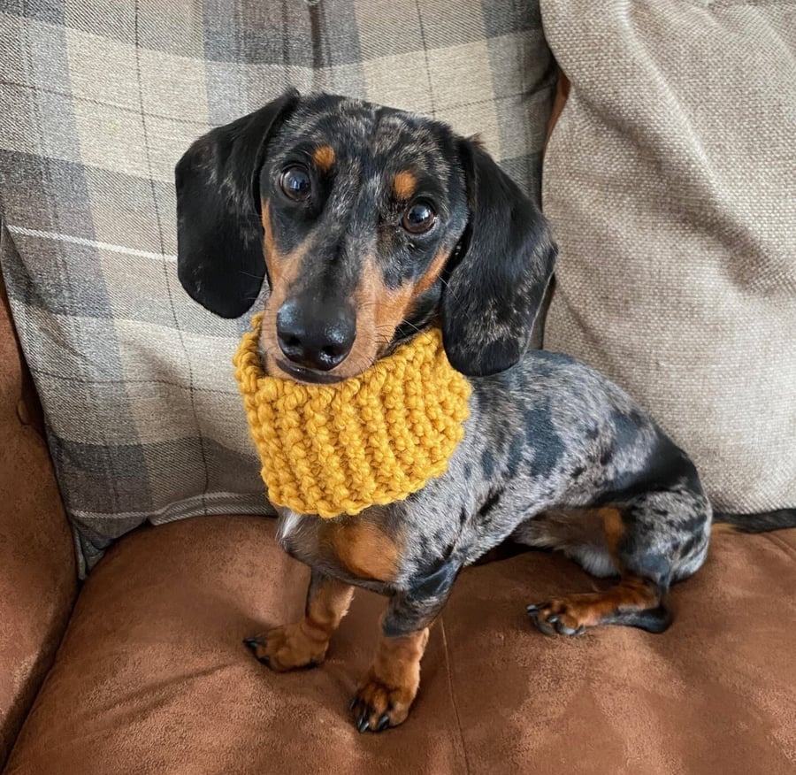 Hand knit CHUNKY snood for dogs and puppies, custom