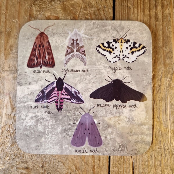 British Moths Square Coaster