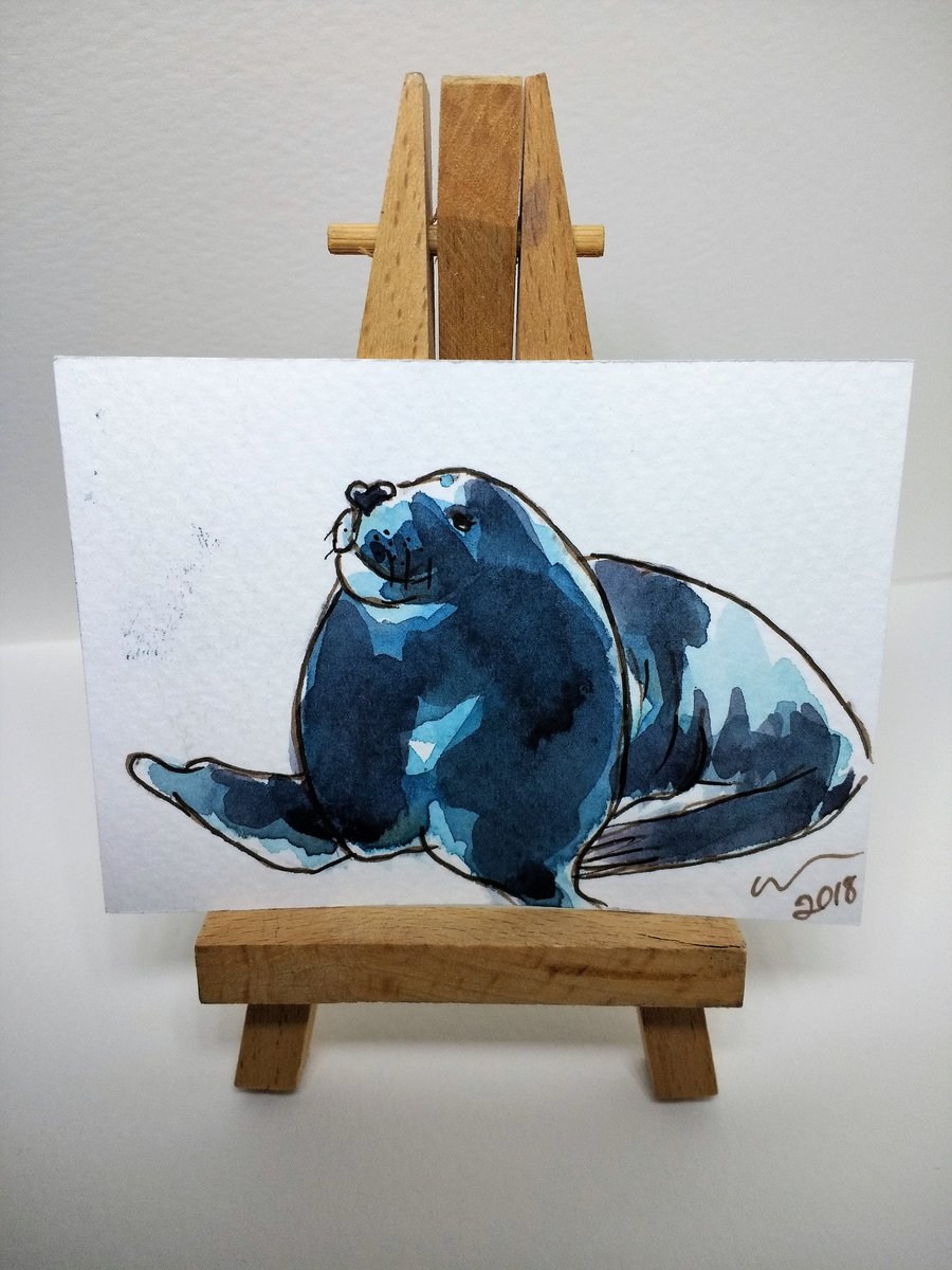 ACEO Animal Art Happy Sealion Original Watercolour and Ink Painting OOAK 