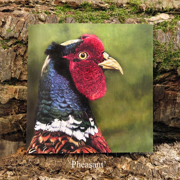 Ring Necked Pheasant