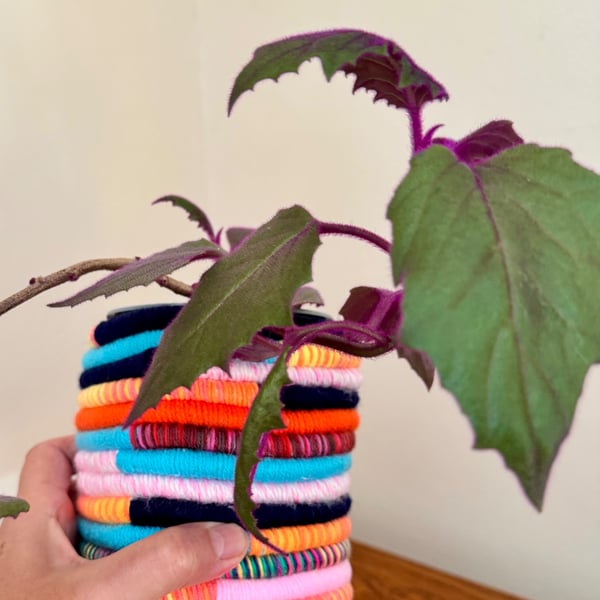 Recycled yarn and yoghurt pot into BoHo planter 