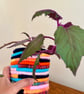 Recycled yarn and yoghurt pot into BoHo planter 