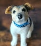 Custom needle felted pet sculpture - Image 4