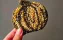 Pumpkin Punch Needle