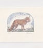 Red Fox Drypoint Print - Original Printmaking Art  - Image 1