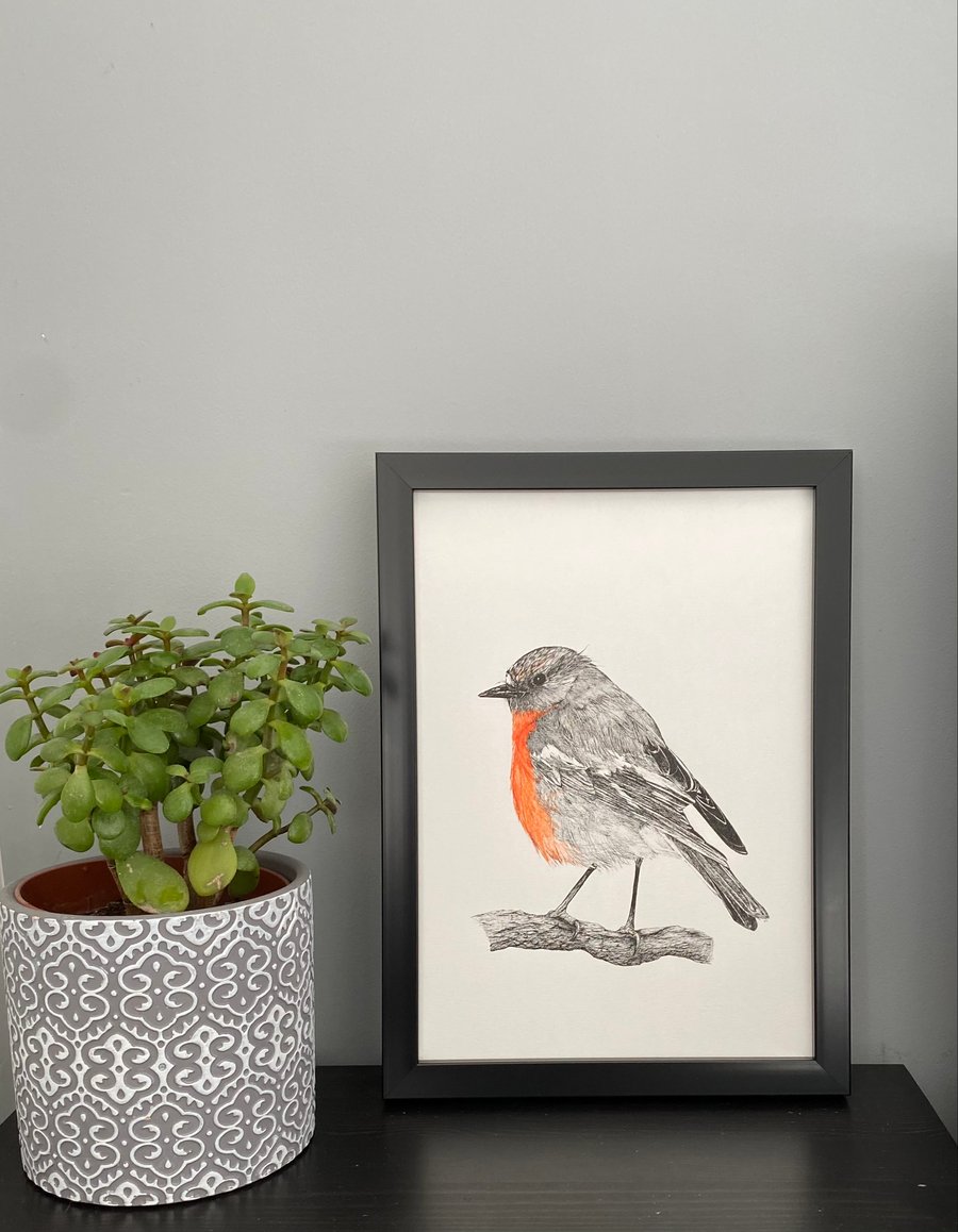 A4 Robin Pen and Ink drawing Original
