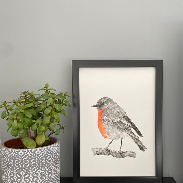 A4 Robin Pen and Ink drawing Original