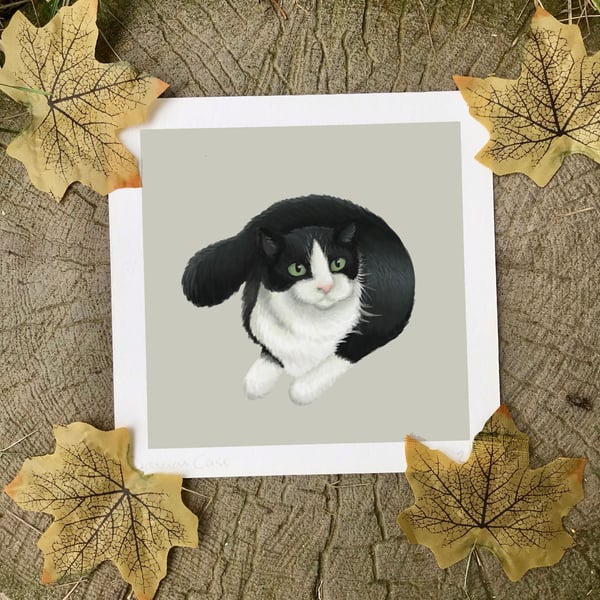 Black and White Cat Art Print