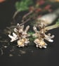 Sterling silver lichen earrings , nature inspired earrings, unique stud earrings - Image 6