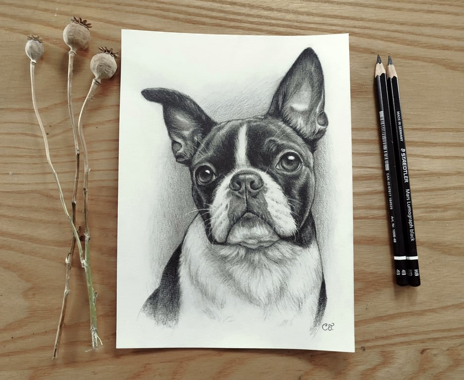 Custom Pencil Pet Portrait 6x8 in