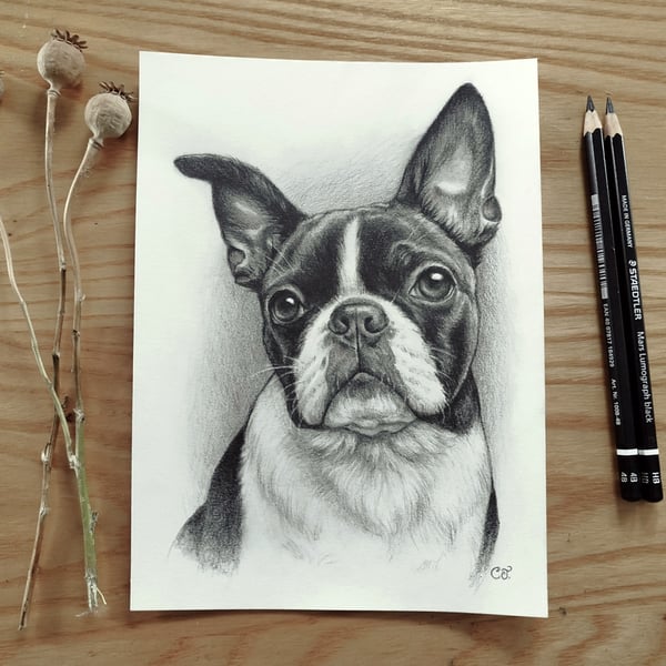 Custom Pencil Pet Portrait 6x8 in