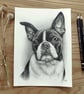 Custom Pencil Pet Portrait 6x8 in - Image 1