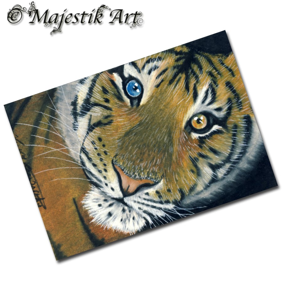Archival ACEO Tiger Print 'Colours' By V Kenworthy