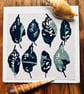 Cyanotype Foliage 1 - with envelope