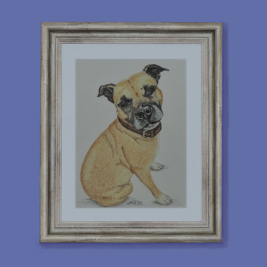 Staffordshire Bull Terrier Fine Art Print