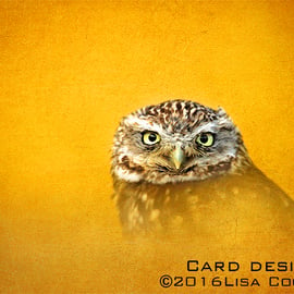 Exclusive Golden Owl Greetings Card