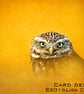 Exclusive Golden Owl Greetings Card - Image 1