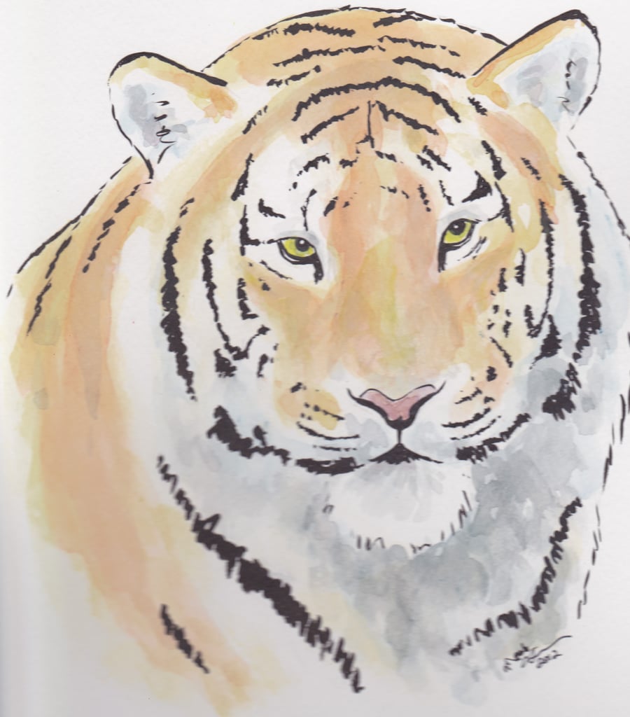 Regal Tiger Original Watercolour & Ink Painting OOAK