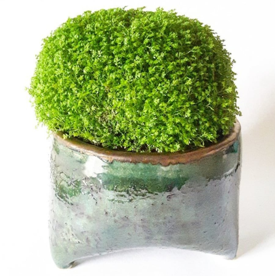 Sold Ceramic Plant Pot Holder with Three Feet