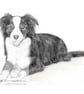 Ivy the Border Collie -  Blank Card - Image 1