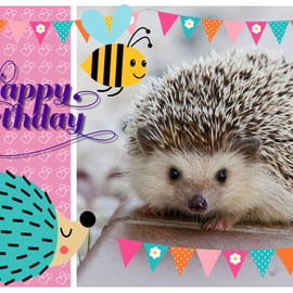 Happy Birthday Hedgehog Bee Greeting Card A5