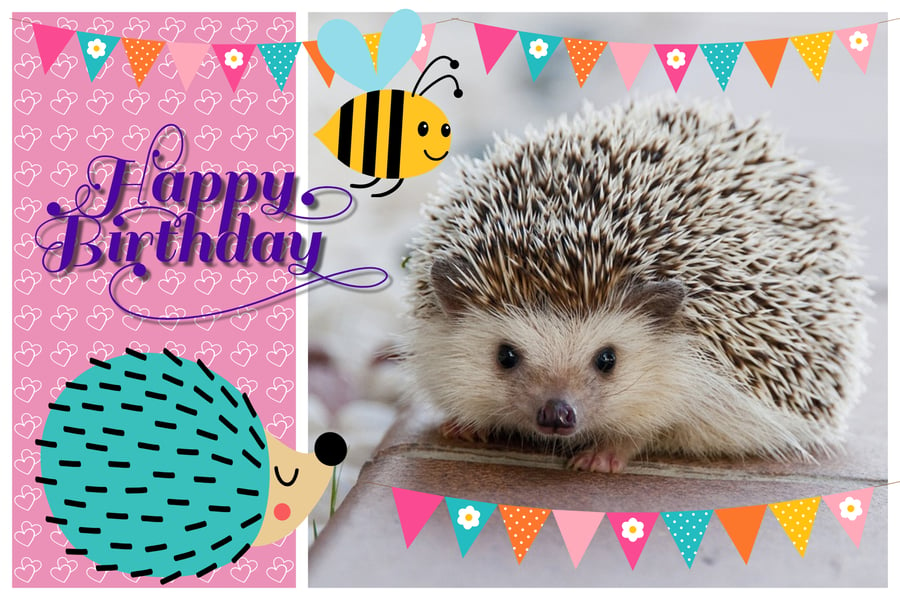 Happy Birthday Hedgehog Bee Greeting Card A5