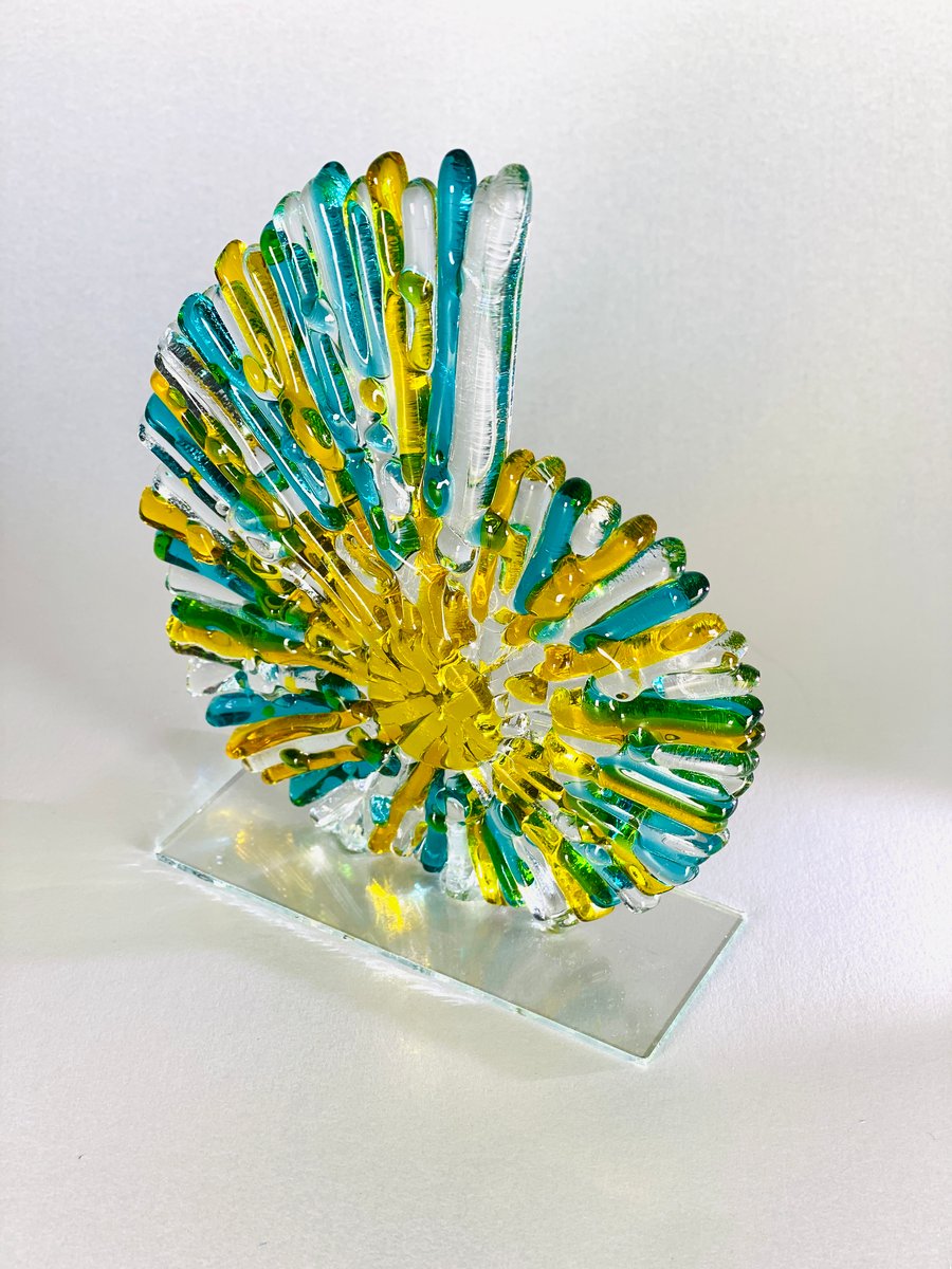 3 dimensional fused glass ammonite - glass art sculpture