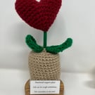Emotional Support Plant