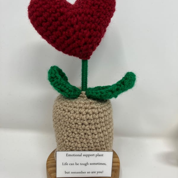 Emotional Support Plant