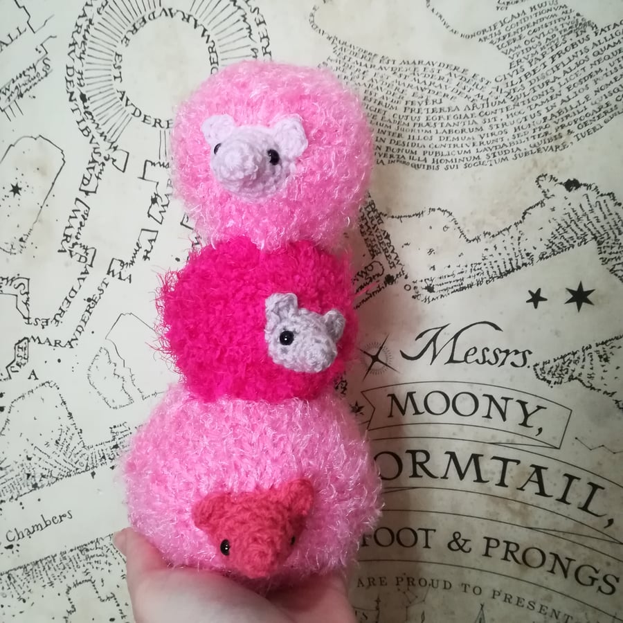 Pygmy Puff Poffle
