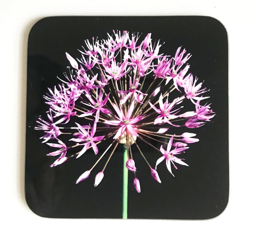 Pink Allium Flower and Stem Square Coaster Pink Black and Green