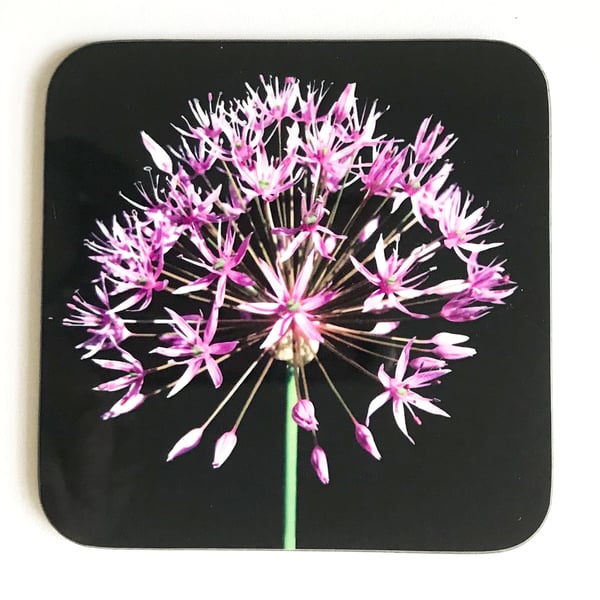 Pink Allium Flower and Stem Square Coaster Pink Black and Green