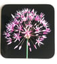 Pink Allium Flower and Stem Square Coaster Pink Black and Green