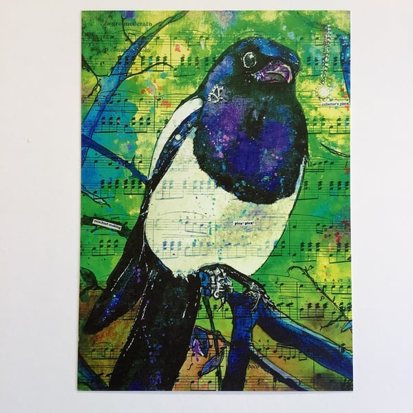 Magpie Print - Magnificent Mischievous Magpie 