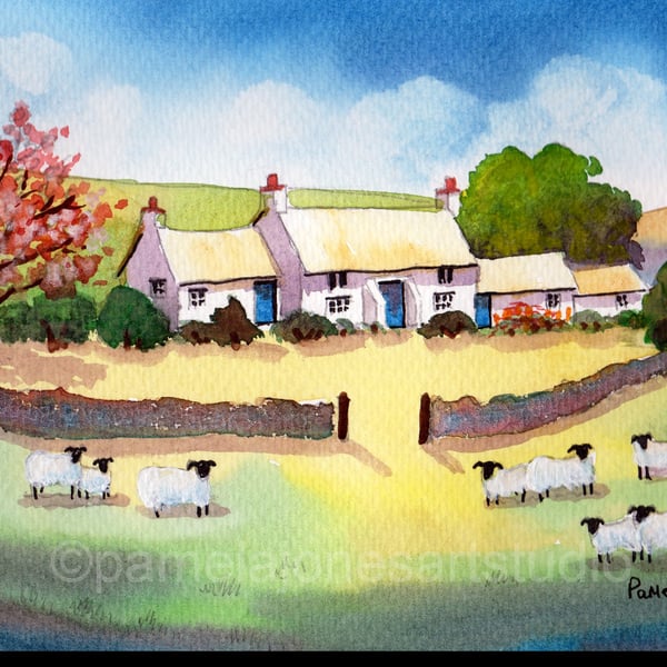 Watercolour Print, Pembrokeshire Cottage, Cherry Blossom, Sheep, 20 x 16'' Mount