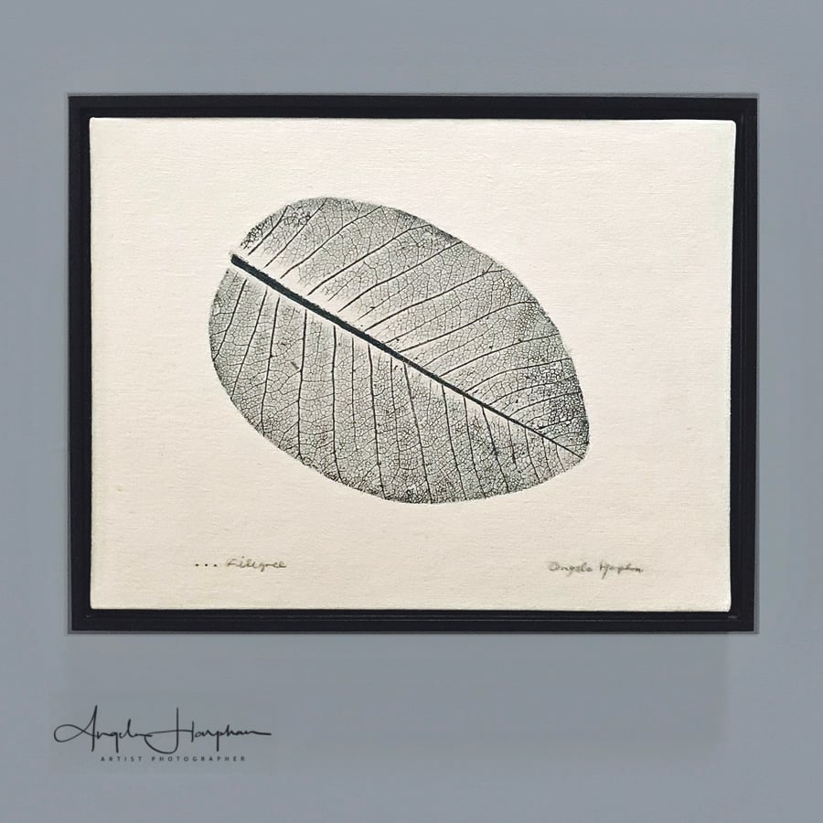 Framed Skeletonised Leaf Print on Canvas - Filigree