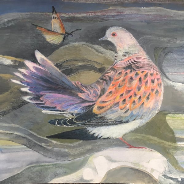 Turtle Dove - greetings card