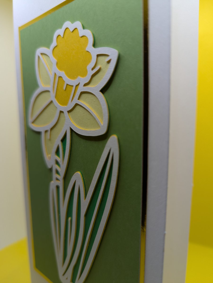 Springtime Daffodil greetings card