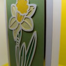 Springtime Daffodil greetings card